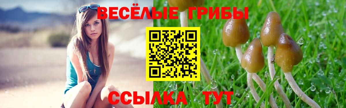 Шадринск  Галлюциногенные грибы мицелий  Галлюциногенные грибы Magic Shrooms  Вход с VPN 
